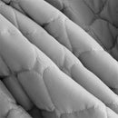 Capa Protetora Colchão Box Casal Padrão Matelado Impermeável